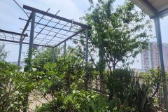 千逗颐养院