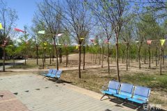 朝阳区观音堂益康养老院
