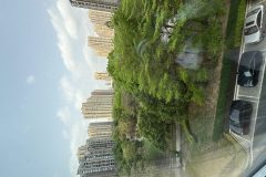 悦麓颐养中心